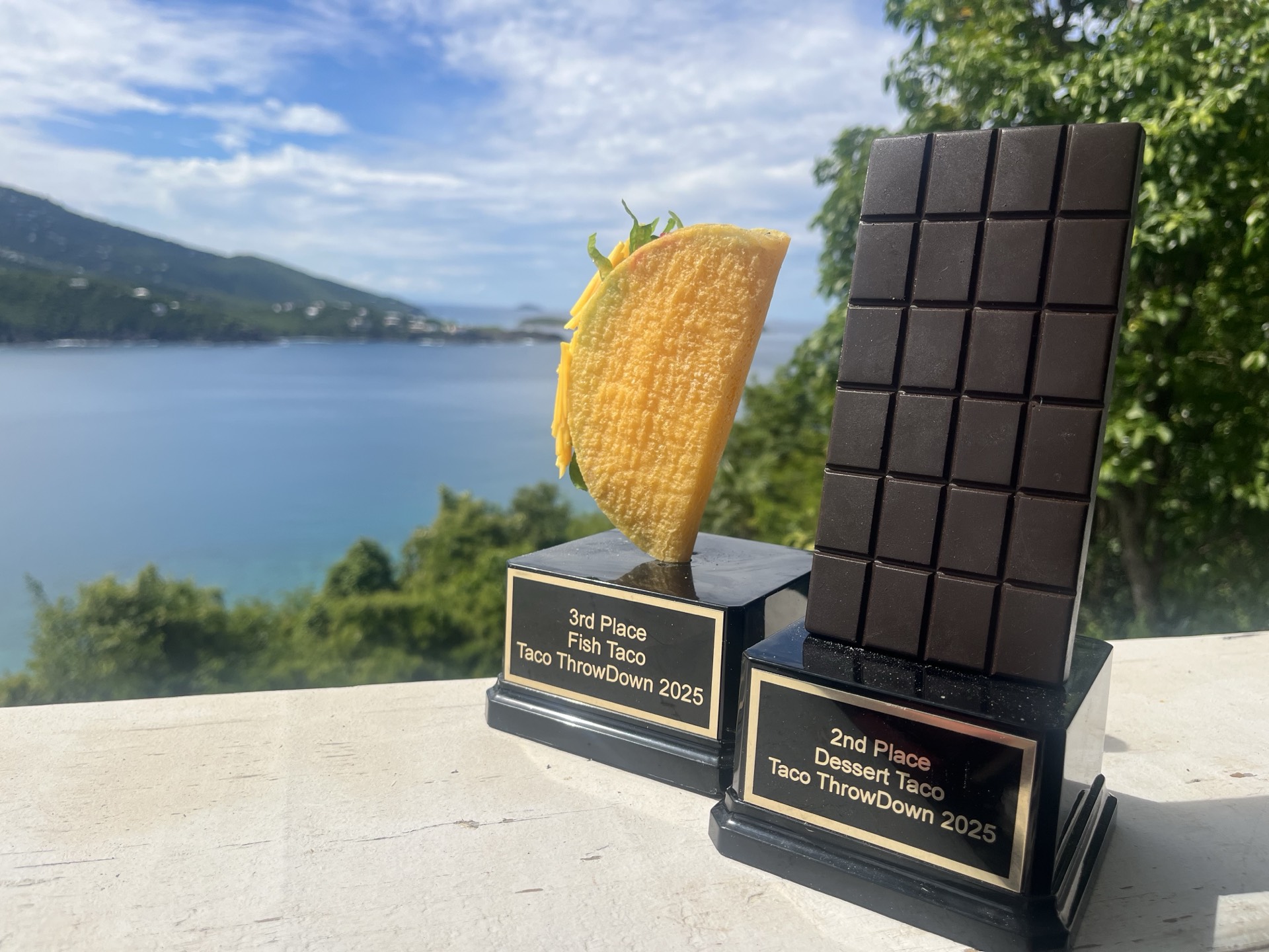 Taco Throwdown Fundraiser